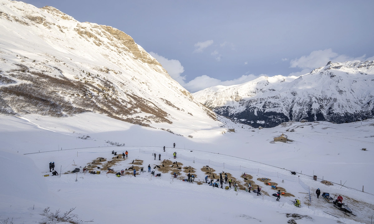 Rémy Coste musher La Grande Odyssée