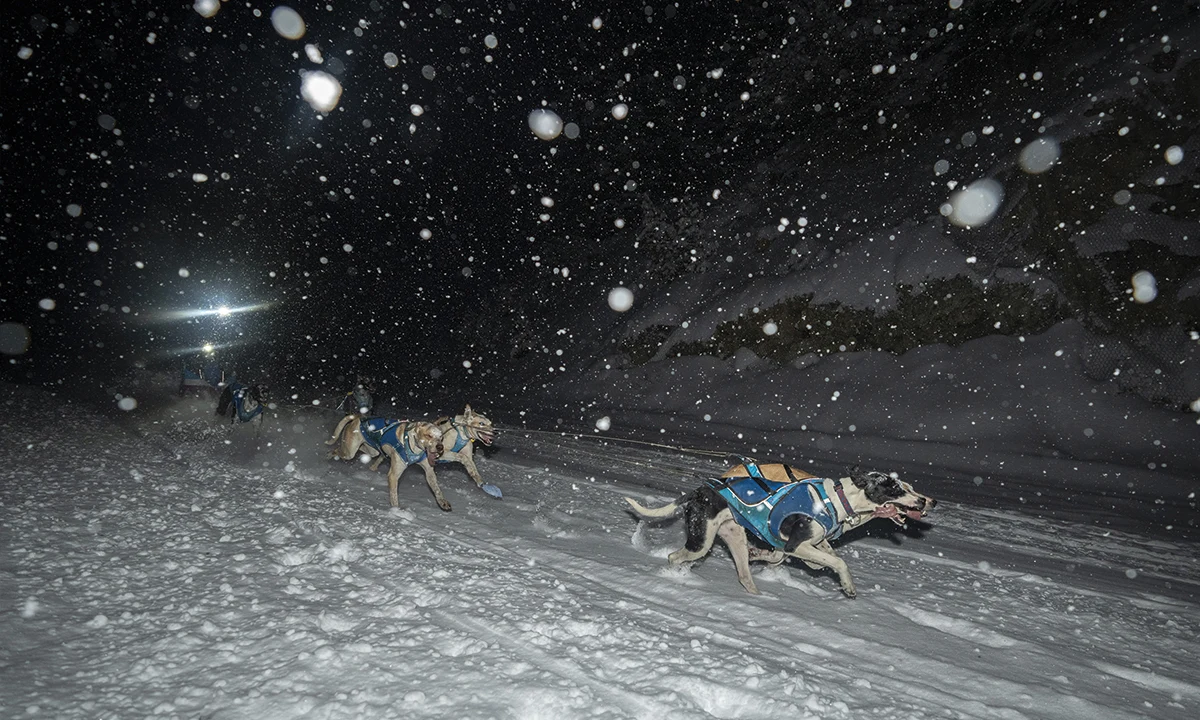 Rémy Coste musher La Grande Odyssée
