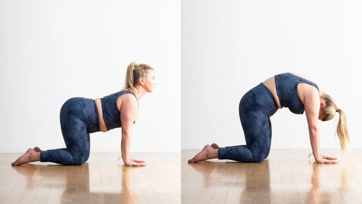 Marjaryasana (Posture du chat) et Bitilasana (Posture de la vache)