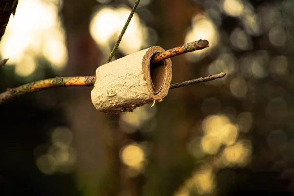 Papier toilette dans la nature