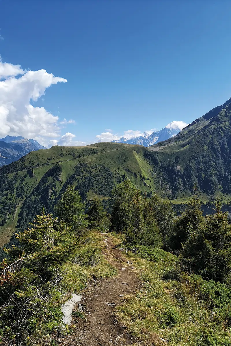 Tour du Mont-Blanc