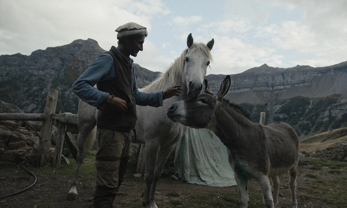 The Lone Valley