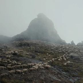 The Lone Valley