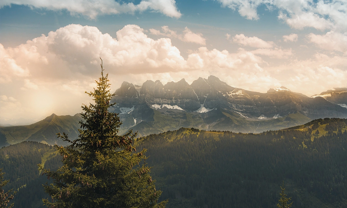 Dents du Midi