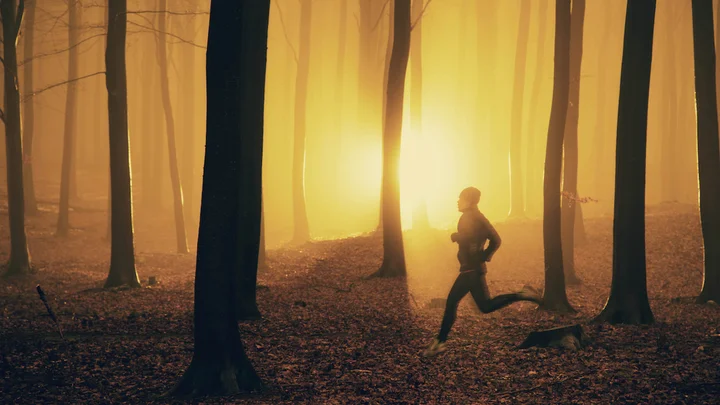 running en forêt
