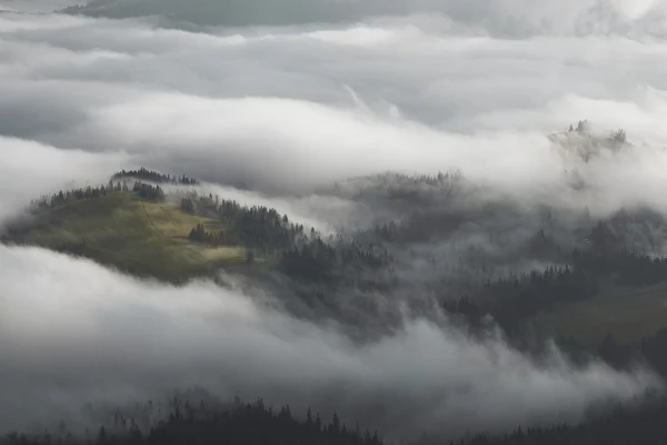 paysage brumeux des Carpates