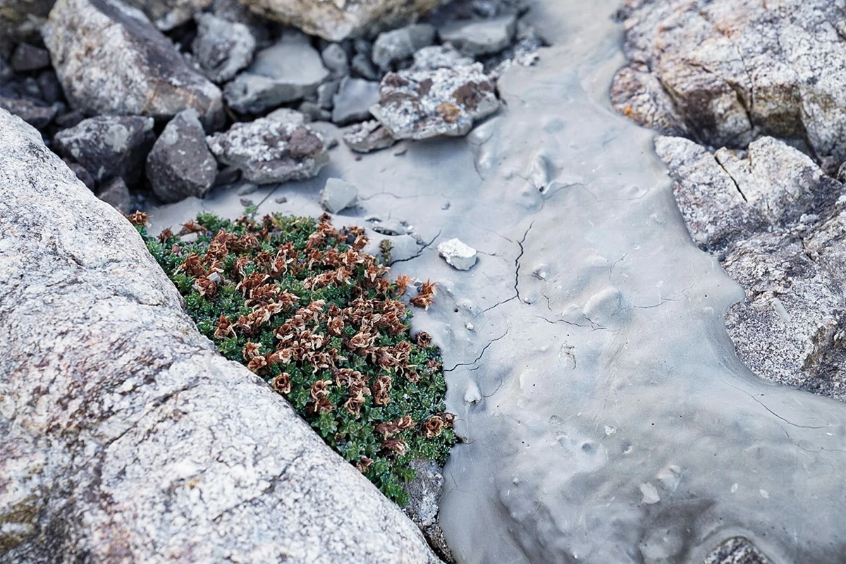 Les Soulèvements de la Terre, glacier de la Girose, La Grave