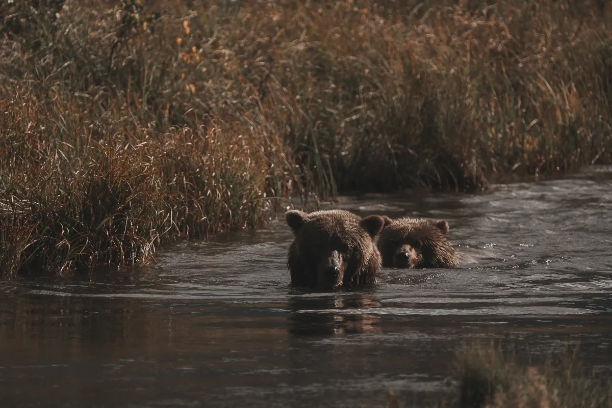 Bikepacking Alaska