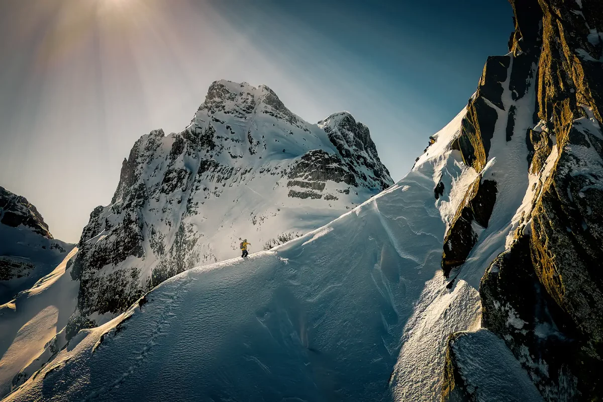 Majesty ski Freeride