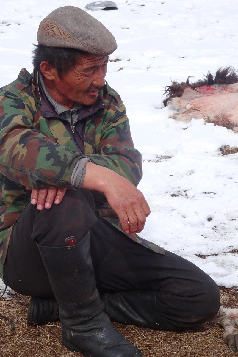Rendez-vous en trek inconnu Mongolie - Atalante