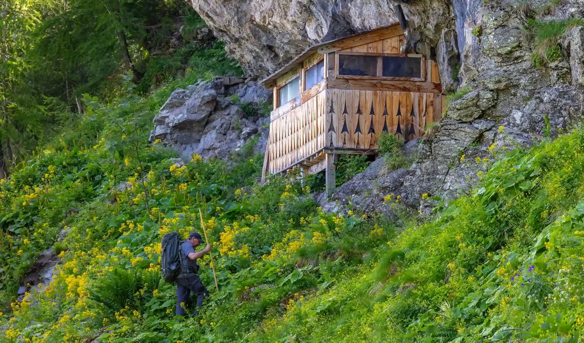 Vivre avec les loups