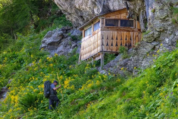 Vivre avec les loups