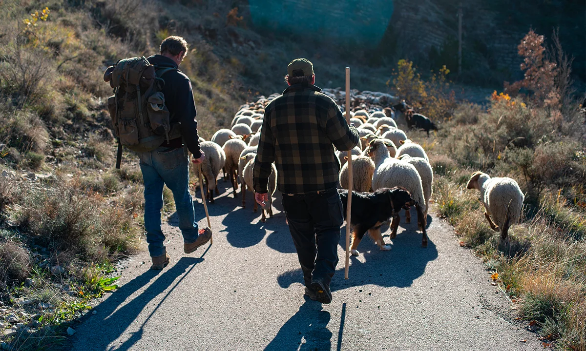 Vivre avec les loups