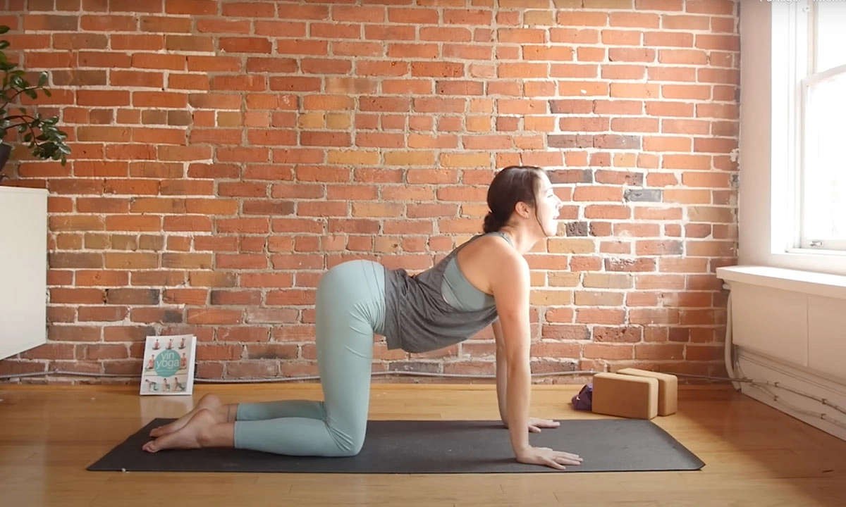 Posture de la vache