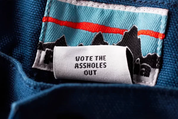 Patagonia Vote the assholes out