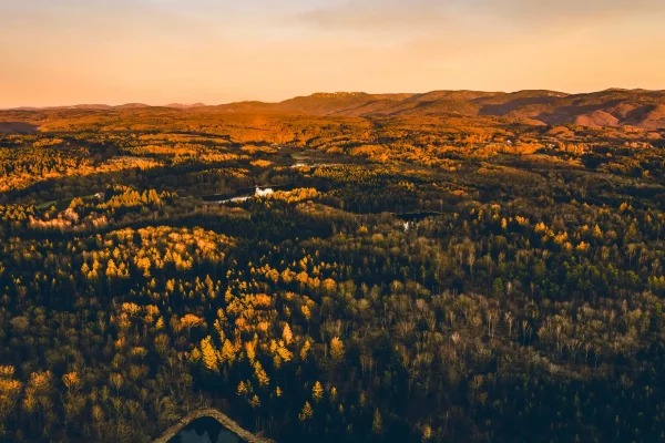 Les Vosges vues du ciel