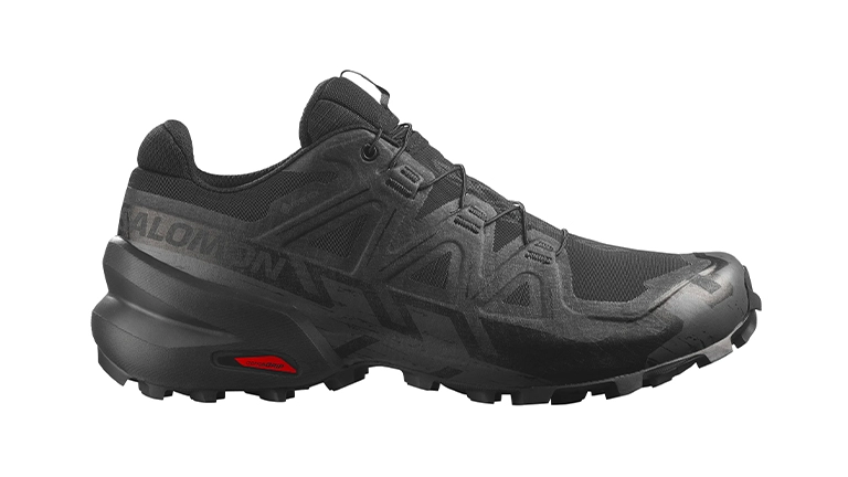 Salomon speedcross 6 GTX