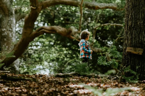 Dropping enfant forêt