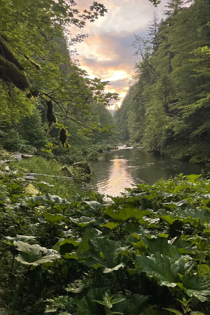 Paul Bonhomme traversée du Jura