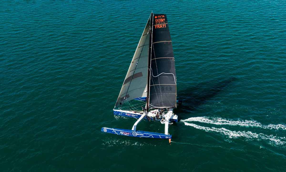Up Wind by Mer Concept