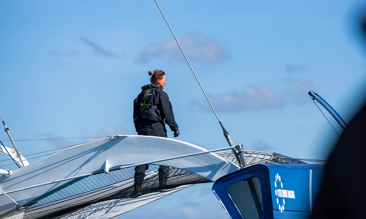 Up Wind by Mer Concept