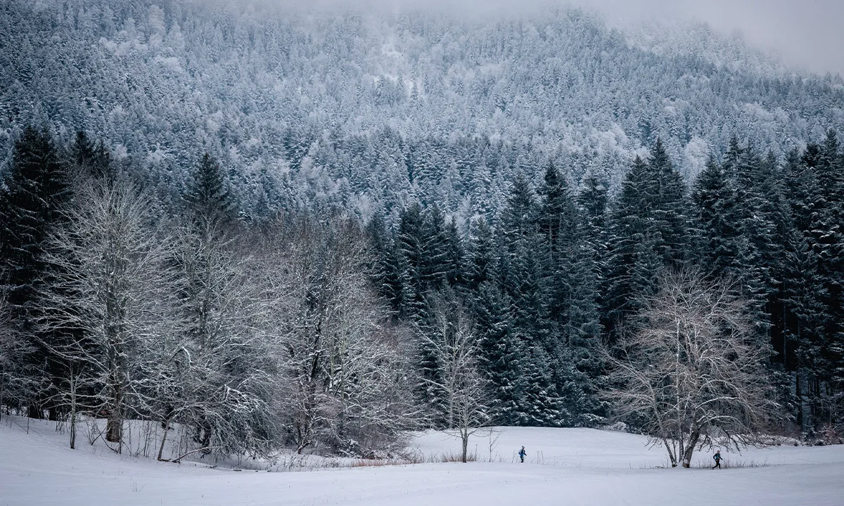 Raidlight Winter Trail