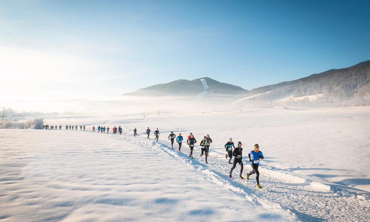 Trail Hivernal du Vercors