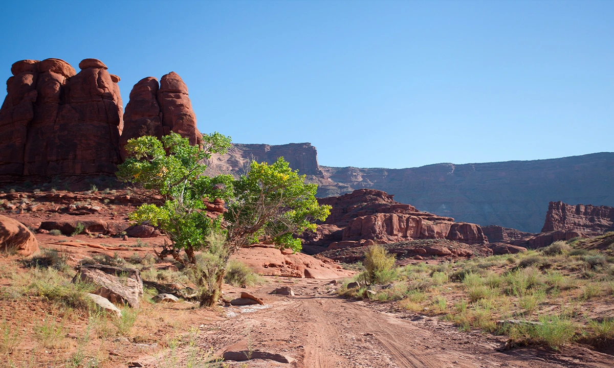 Utah Bikepacking Clotaire Mandel