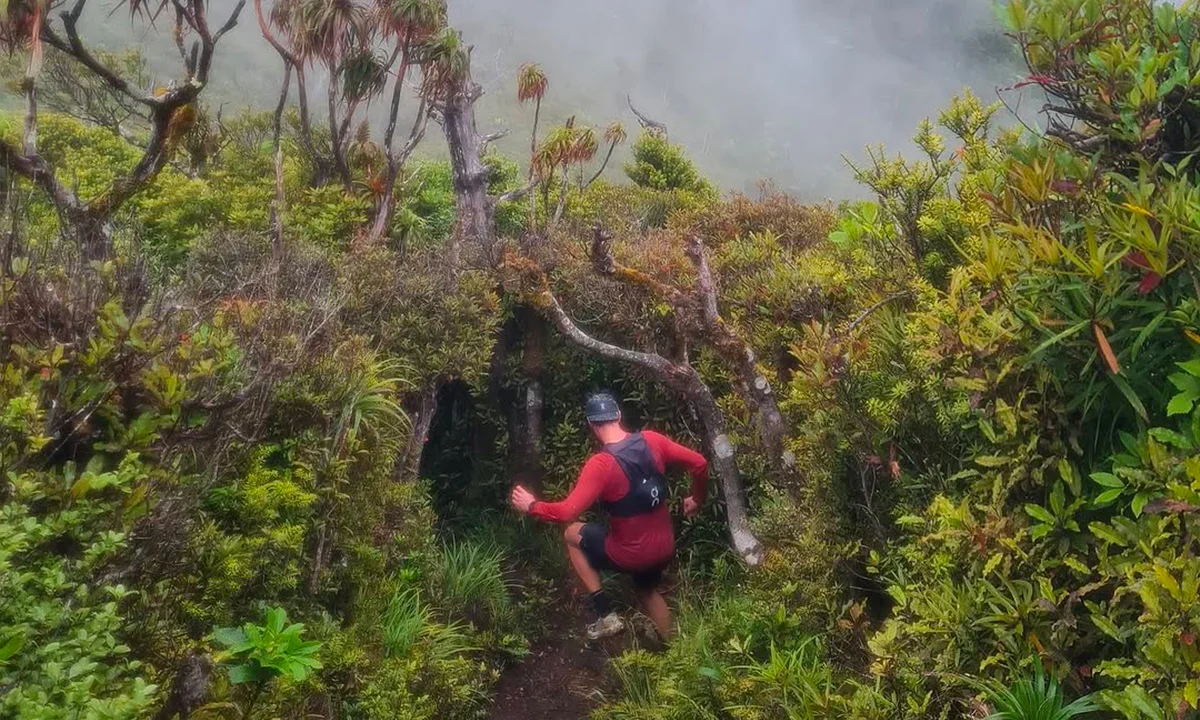 Karel Sabbe Te Araroa Trail