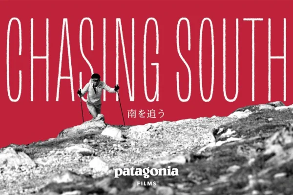 Chasing South