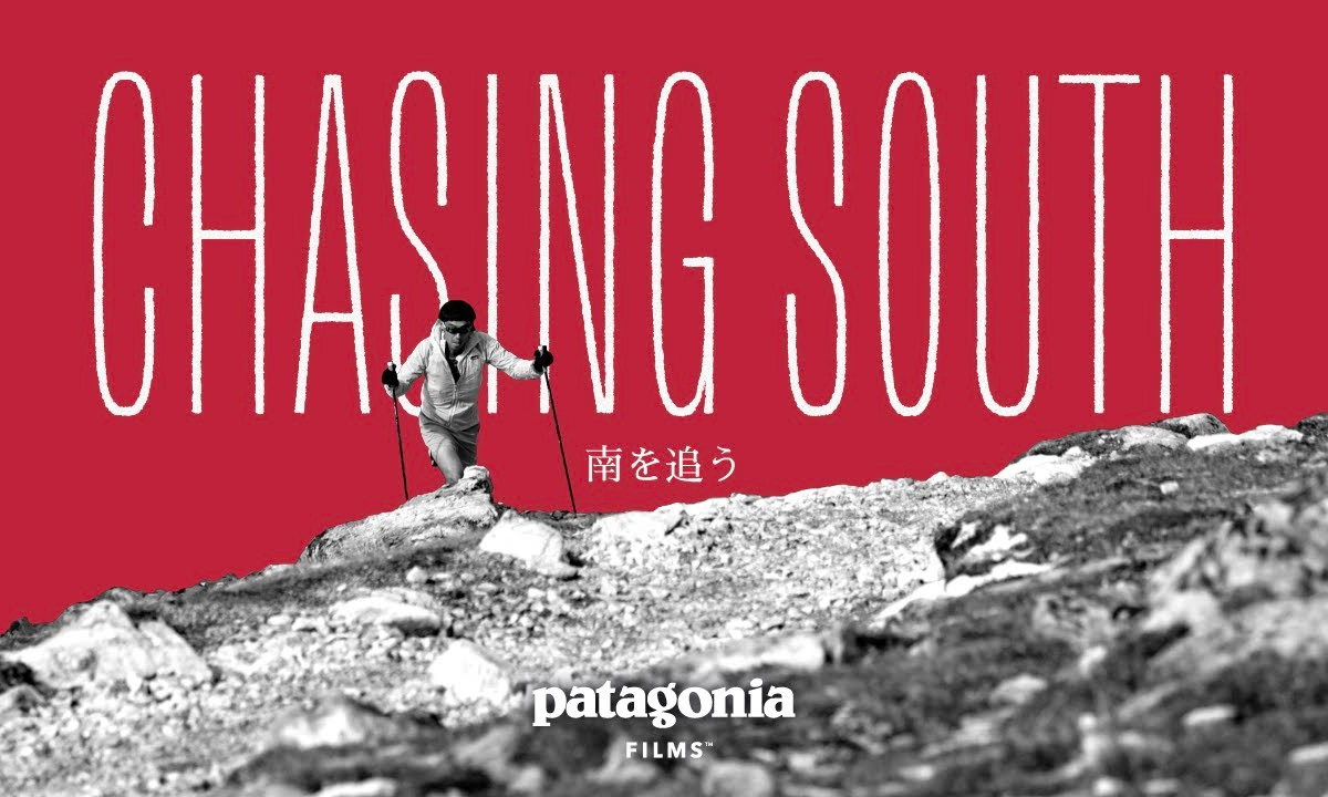Chasing South