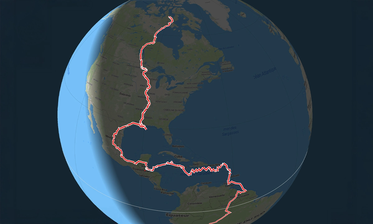 Arnaud Maldague carte