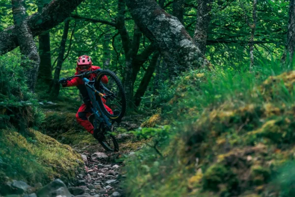 VTT Sauvage