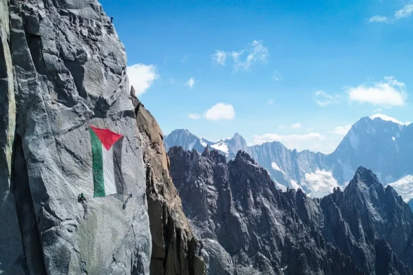 Les Drus drapeau Palestine