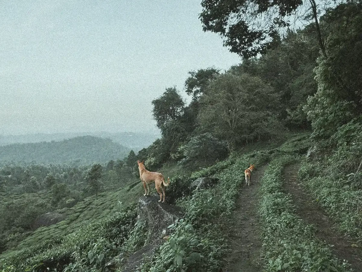 L'inde, seule à moto, Isaure de Belleville