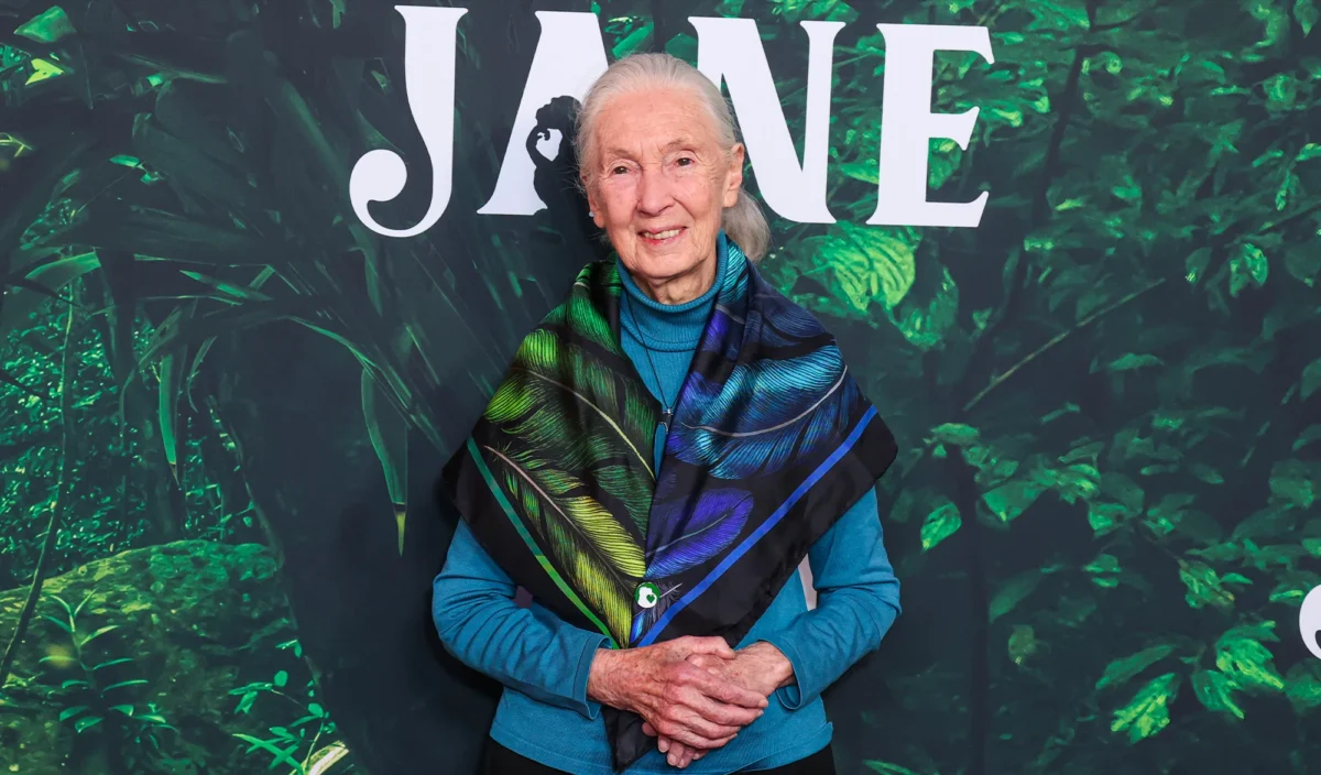 Jane Goodall