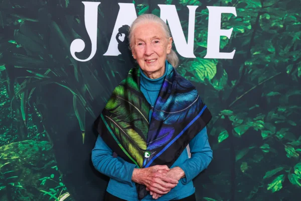 Jane Goodall