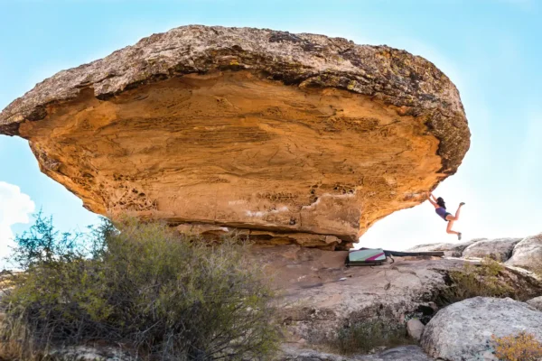 Moe's valley escalade bloc