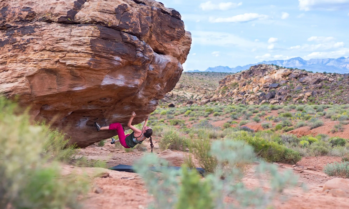 Moe's valley escalade bloc