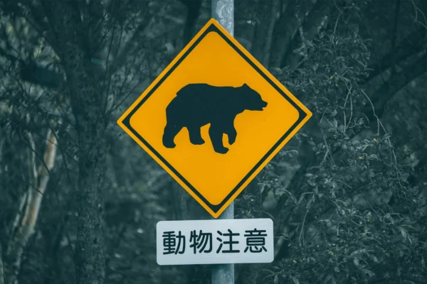 Panneau attention ours Japon