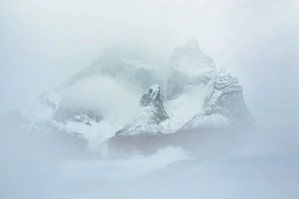 Blizzard Torres del Paine