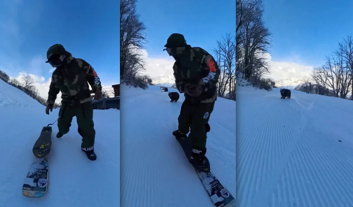 Ours snowboardeur Japon