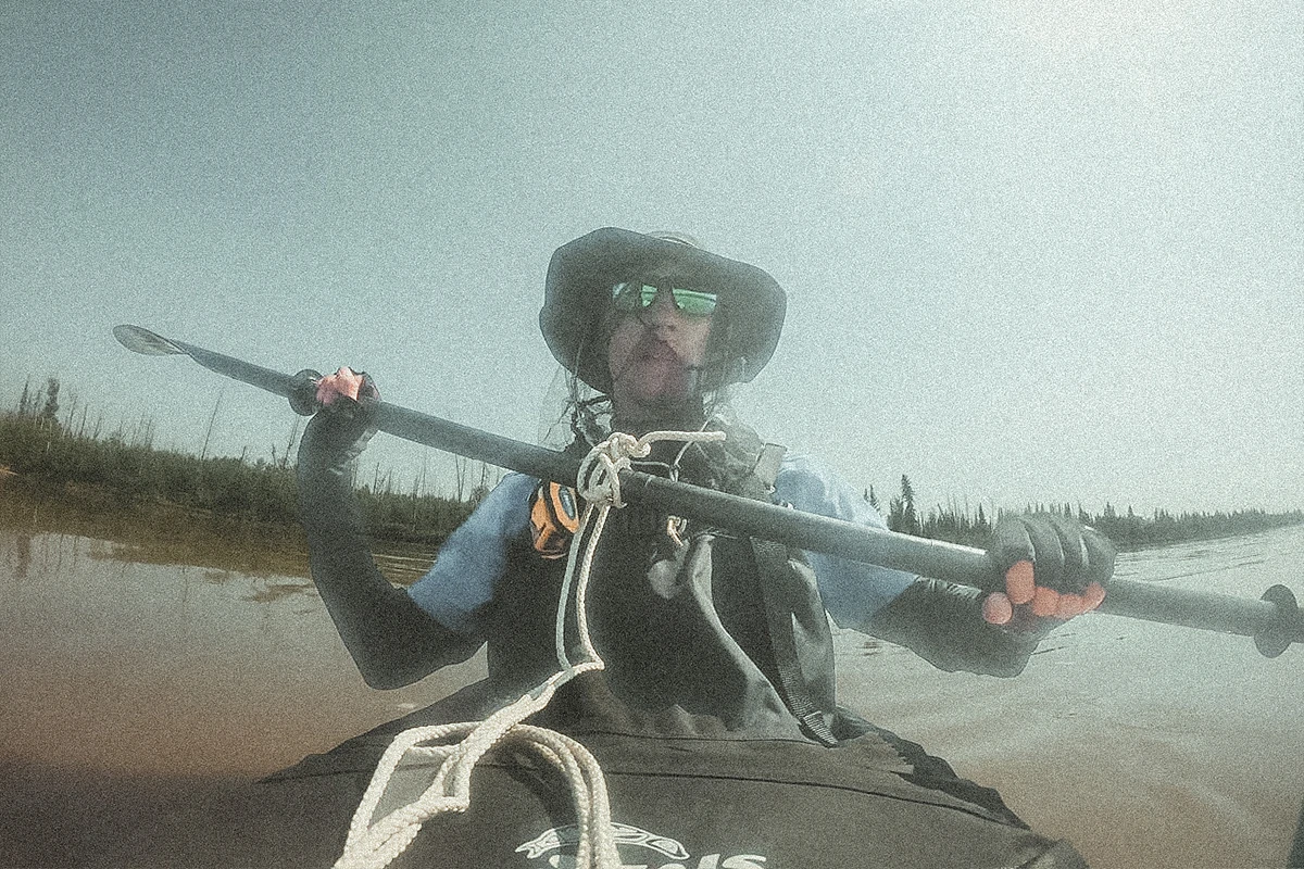 Thomas Destailleur Open Your Wild