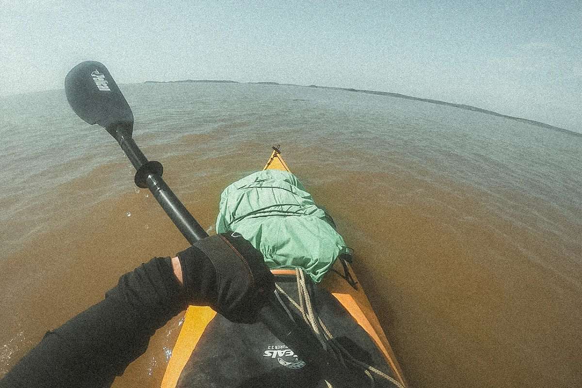 Thomas Destailleur Open Your Wild