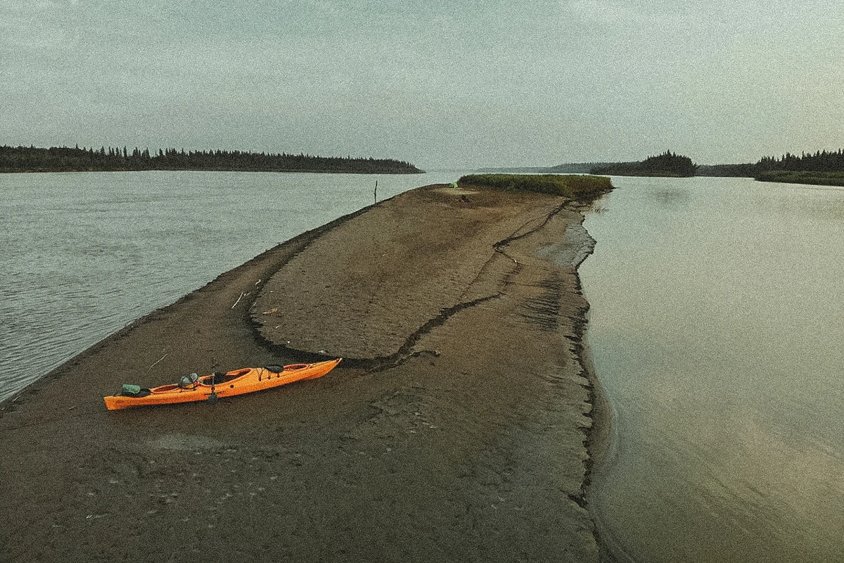 Thomas Destailleur Open Your Wild