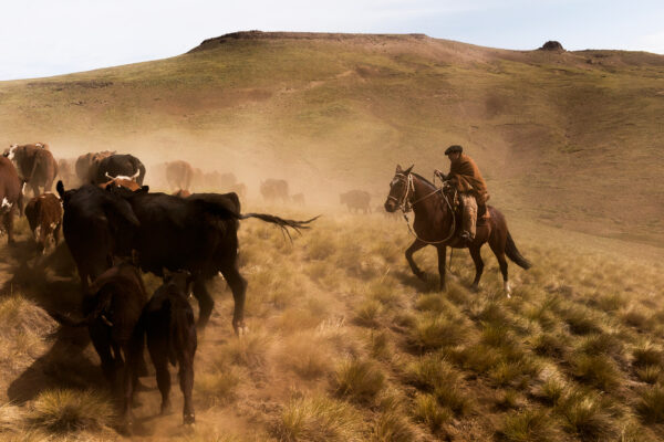 Brice Portolano Patagonie