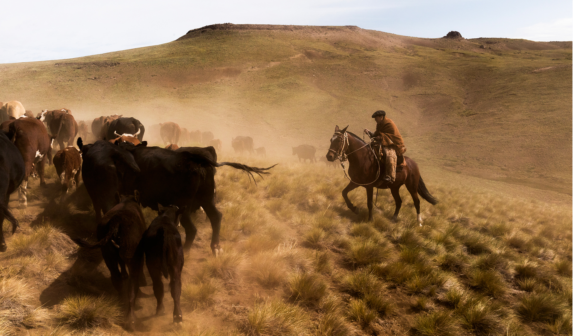 Brice Portolano Patagonie