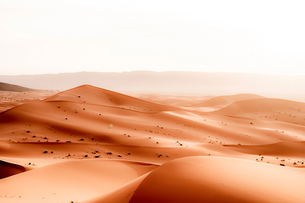 Marathon des sables