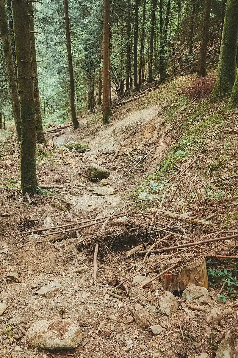 Veyrier Annecy sentier VTT détruit au bulldozer