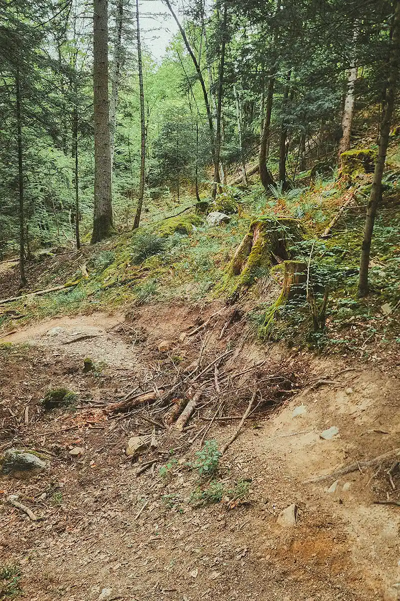 Veyrier Annecy sentier VTT détruit au bulldozer